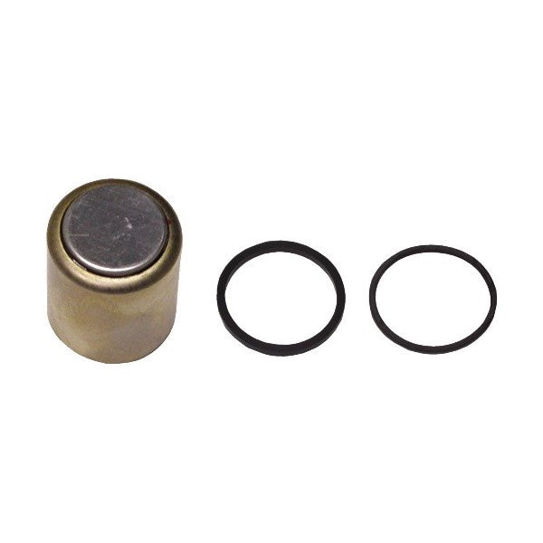 282731 Front Brake Piston with Seals