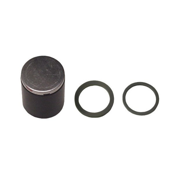 282733 Rear Brake Piston and Seals