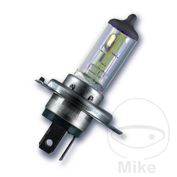 H4 P43T 12v 60/55w Halogen H/D Bulb