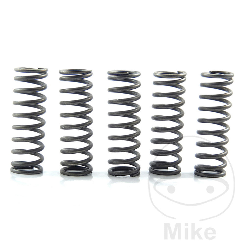 EBC Clutch Spring Kit 5 Pieces CSK124