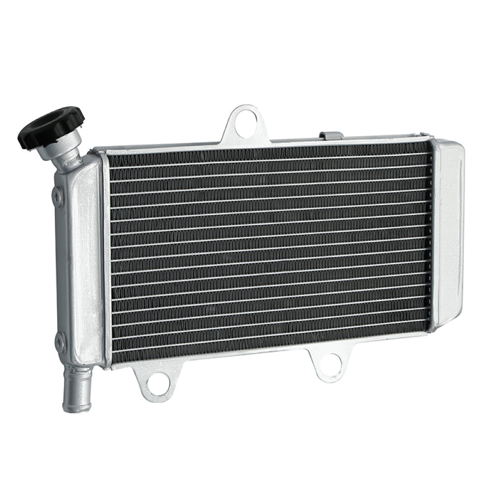 Yamaha XT660R XT600X 04-14 Radiator