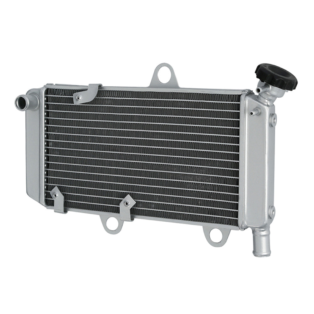 Yamaha XT660R XT600X 04-14 Radiator