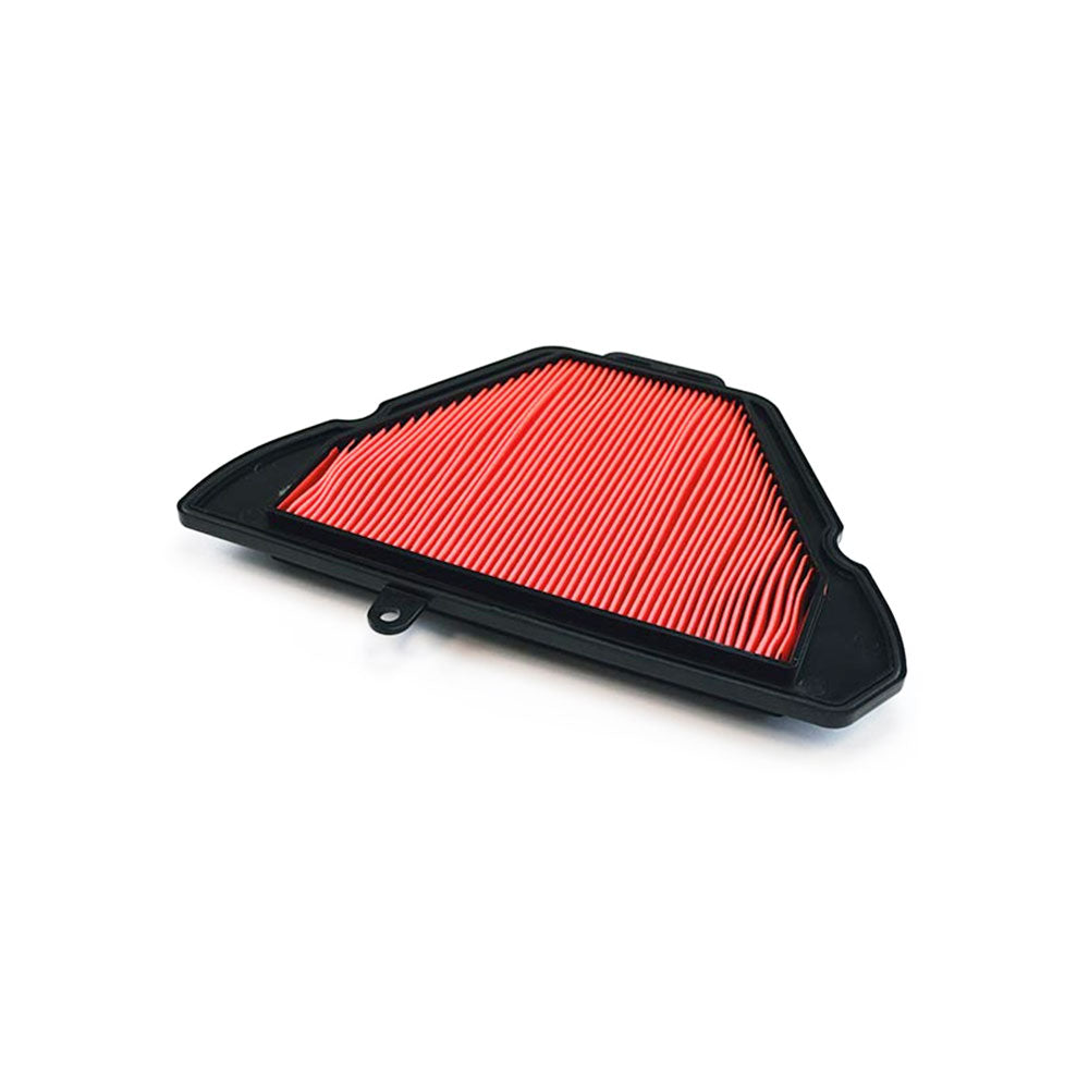Triumph Sprint ST 05-11 Air Filter Pattern