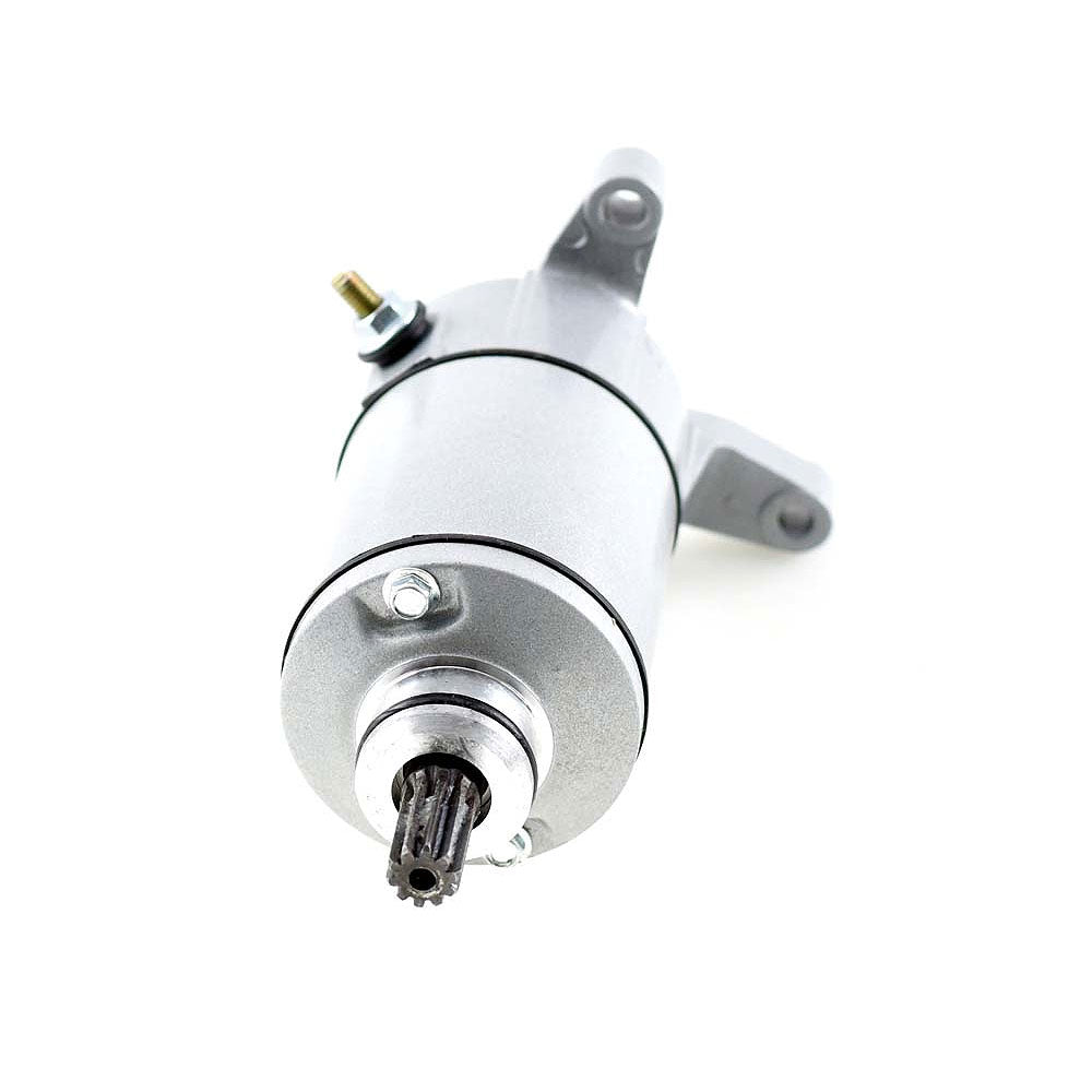 Suzuki LT230 Starter Motor