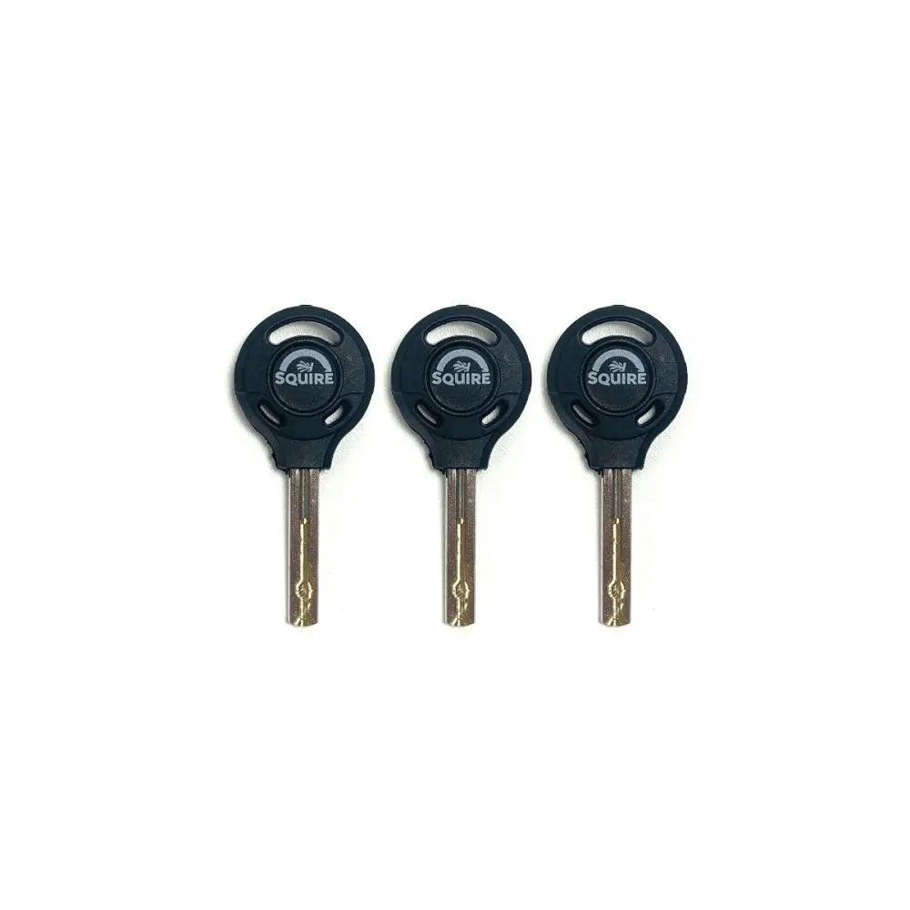 Squire Matterhorn Mini Disc Lock With Reminder Cable