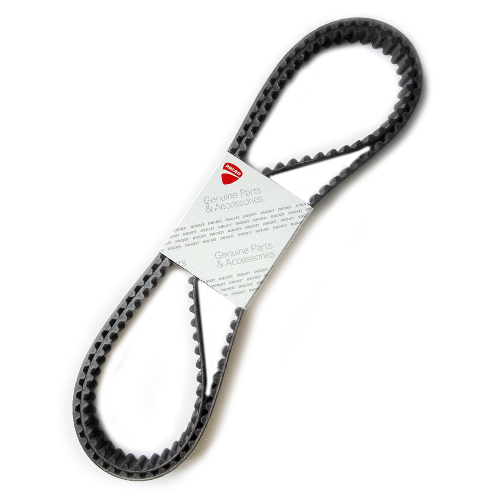 Ducati 73710081A Timing Drive Toothed Belt