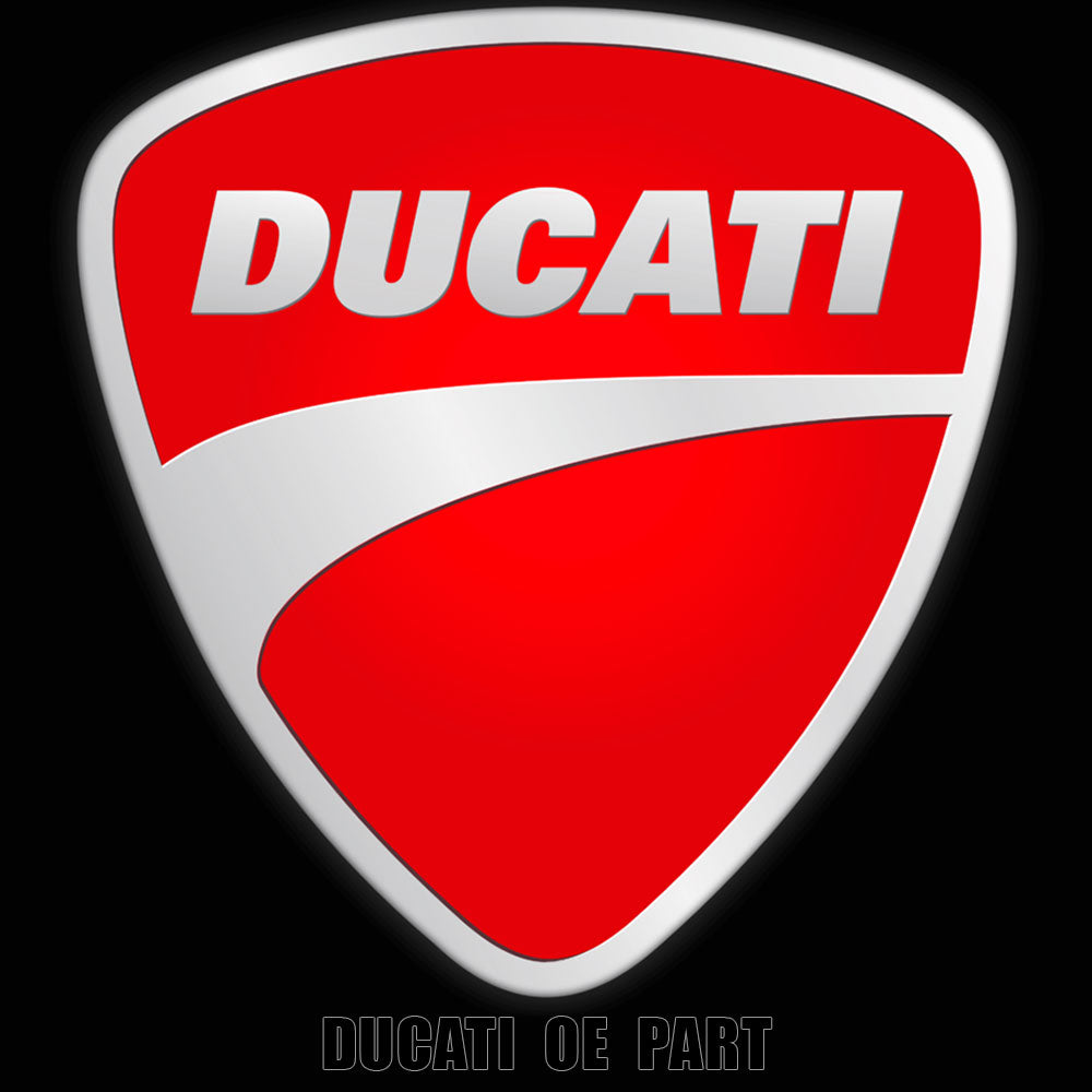 Ducati 748 916 996 998 Genuine Left Air Filter 42620021A