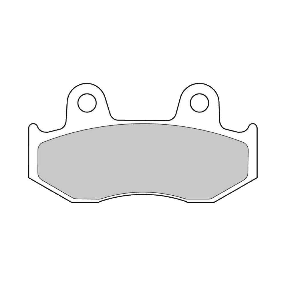 FDB2119SM Ferodo Sinter Maxi Pads