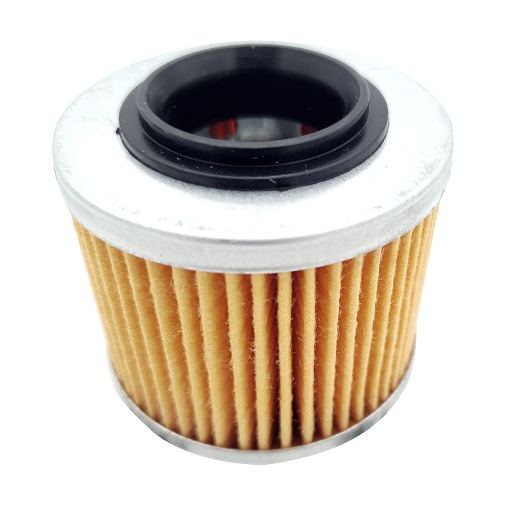 Voge 650DSX 2023
Secondary Engine Oil Filter 150350003-0003