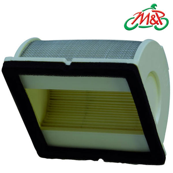 Y324 Champion Air Filter