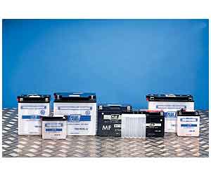 B396 Economy Battery Without Acid B39-6