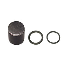 282733 Rear Brake Piston and Seals