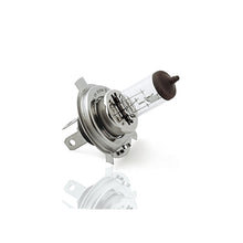 35/35w HS1 Standard Halogen