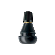 Economy Short Rubber Tubeless Valve