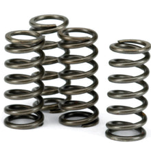 EBC Clutch Spring Kit 4 Pieces CSK209
