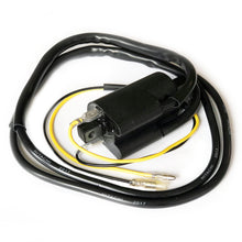 12v Twin Lead Points Type Ignition Coil 713612