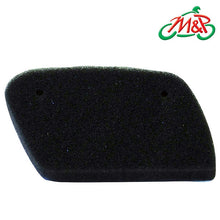 Y318 Champion Air Filter