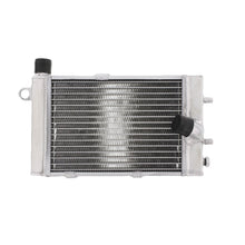RST1000 Mille Futura 01-04 Radiator Water Left