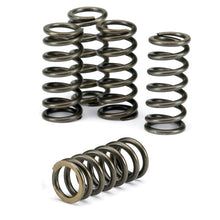 EBC Clutch Spring Kit 5 Pieces CSK220