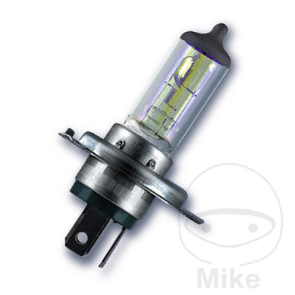 H4 P43T 12v 60/55w Halogen H/D Bulb