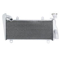 Ducati 1199 Panigale 12-13 Radiator