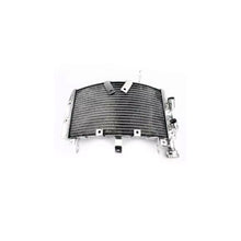 Ducati Monster 821 13-16 Radiator