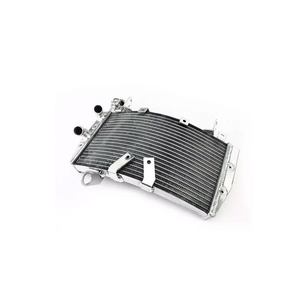 Ducati Monster 821 13-16 Radiator