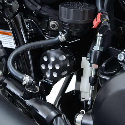 R&G Frame Tidy for Harley Davidson Street 500/750 (Right Side)