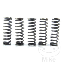 EBC Clutch Spring Kit 5 Pieces CSK124
