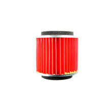 ARF250 Filtrex Pattern Air Filter