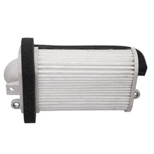 ARF346 Filtrex Pattern Air Filter