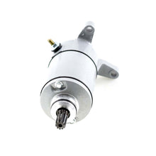 Suzuki LT230 Starter Motor