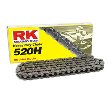 520x096 RK Chain