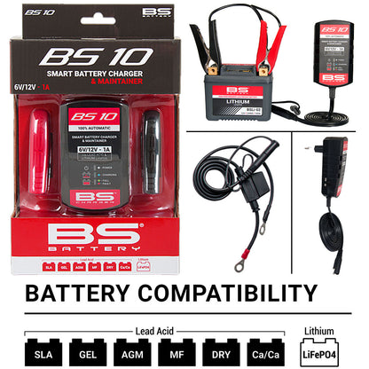 BS10 Smart Charger 6V/12V 1A (AC Plug EU Fitting)