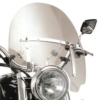 Universal Puig Daytona III Custom Screen Clear