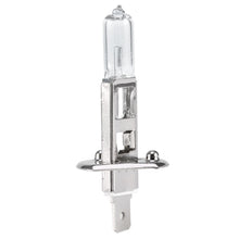 H1 12v 100w Bulb