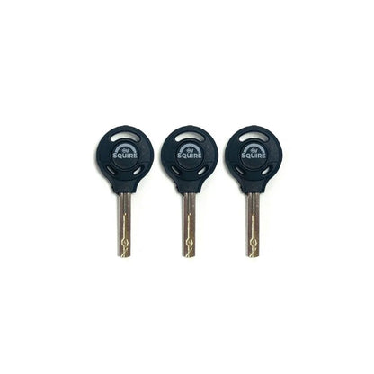 Squire Matterhorn Mini Disc Lock With Reminder Cable