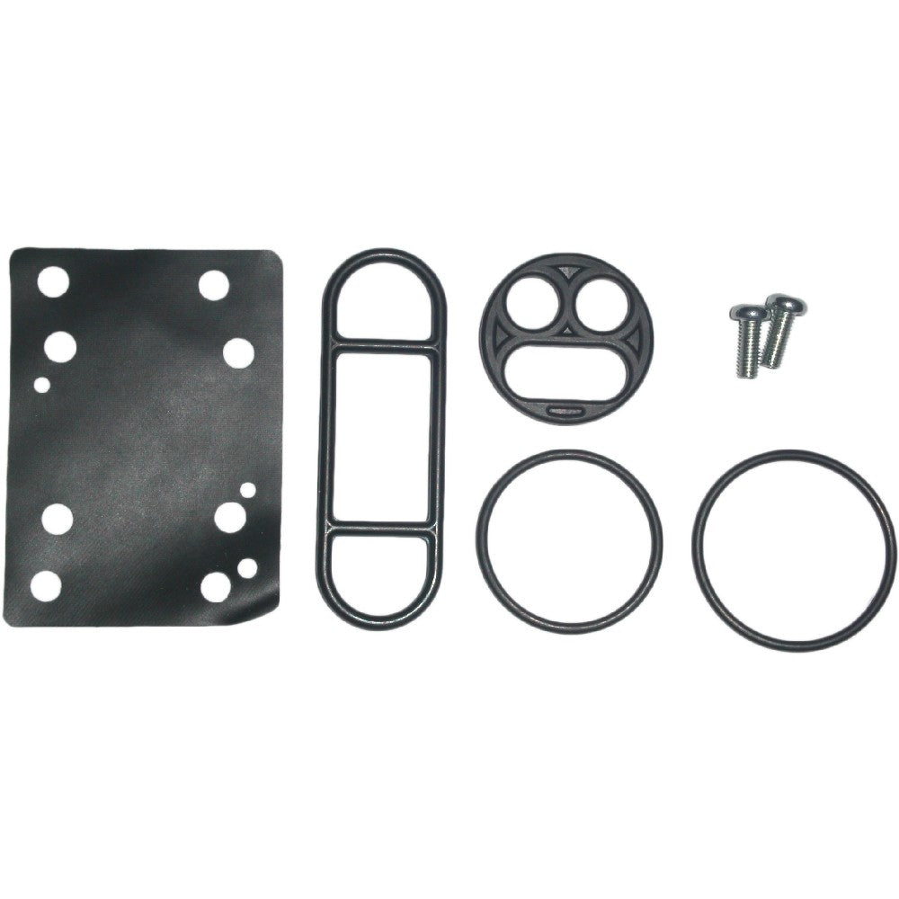 Type 31 Fuel Tap Repair Kit 743831