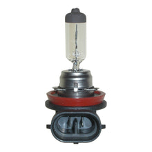 H8 12v 35w Halogen Bulb