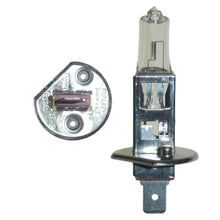 12v 55w H1 Halogen Bulb