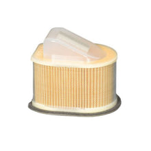 Z800 13-16 Champion Air Filter