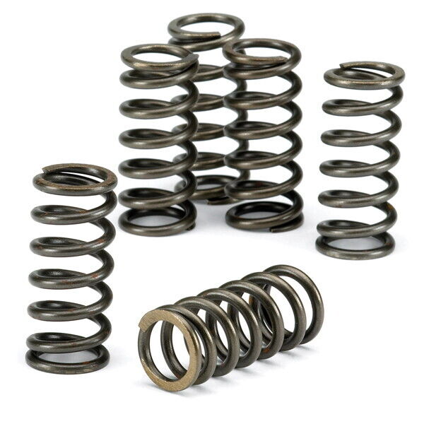 EBC Clutch Spring Kit 5 Pieces CSK185