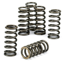 EBC Clutch Spring Kit 5 Pieces CSK185