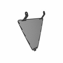 Ducati Streetfighter V2 2022-2023 Lower Radiator Grille