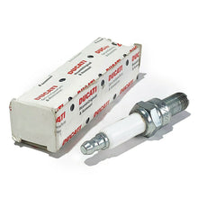 Ducati Genuine Motorcycle Spark Plug 67040381A / NGK MAR10A-J (Single)