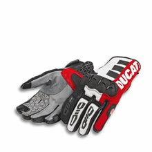 Ducati Gloves Atacama C2