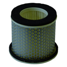V303 Champion Air Filter