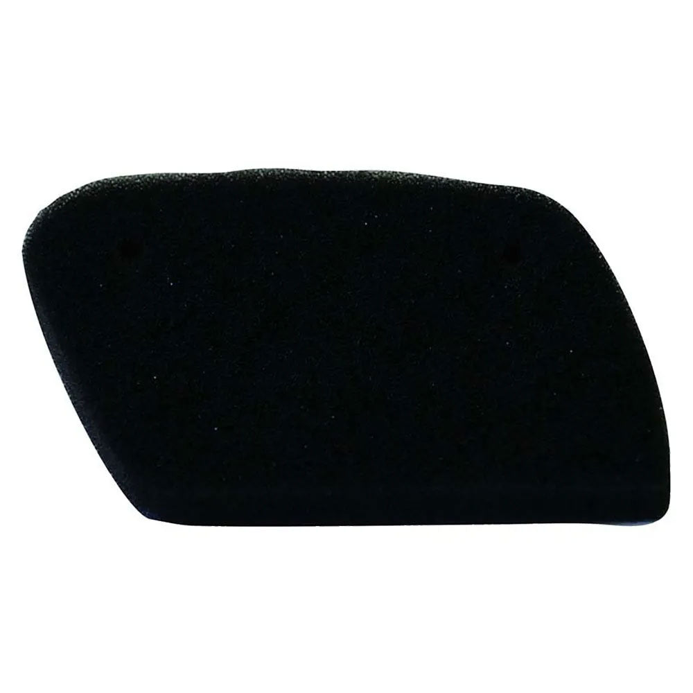 Y318 Champion Air Filter