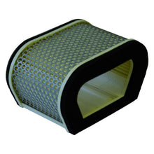 Y325 Champion Air Filter