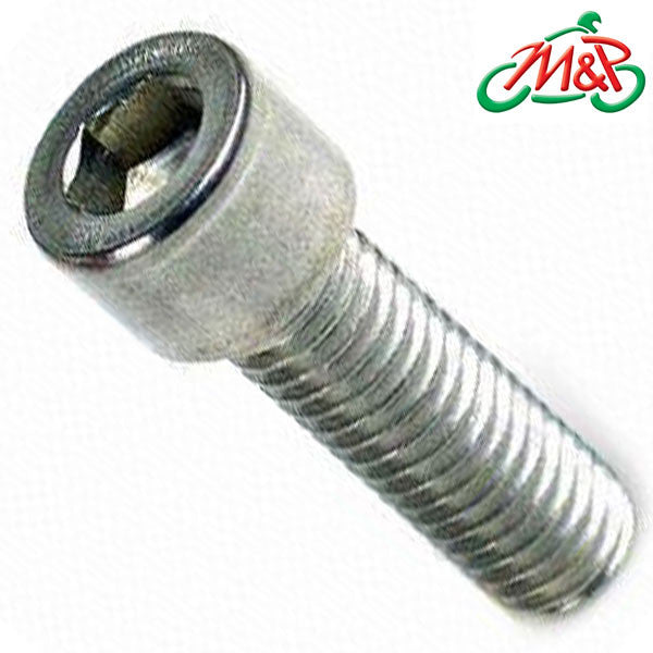 M6x12mm S/Steel Allen Bolt Pack100